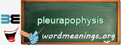 WordMeaning blackboard for pleurapophysis